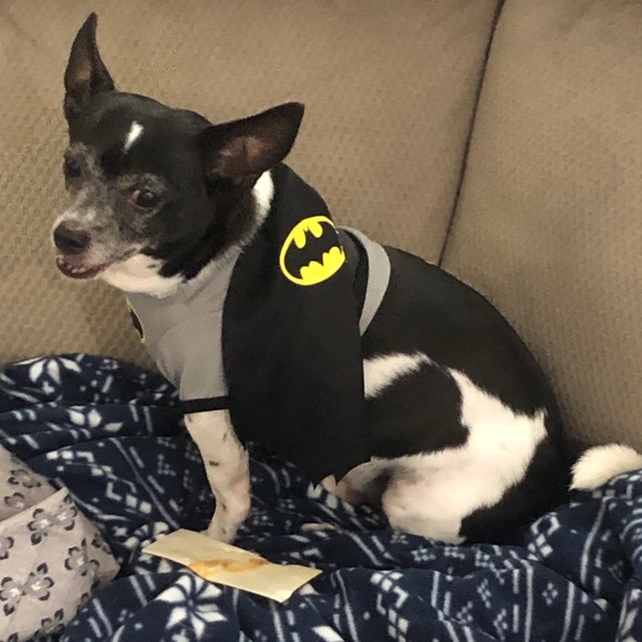 Meet the Posher - Picture 6 of 8